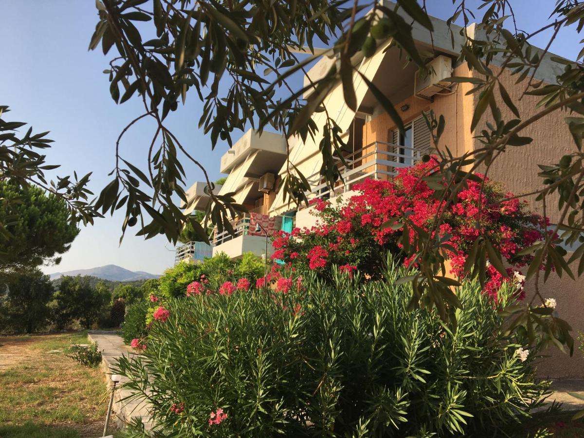 Galini Studios And Apartments 拉瑟 外观 照片