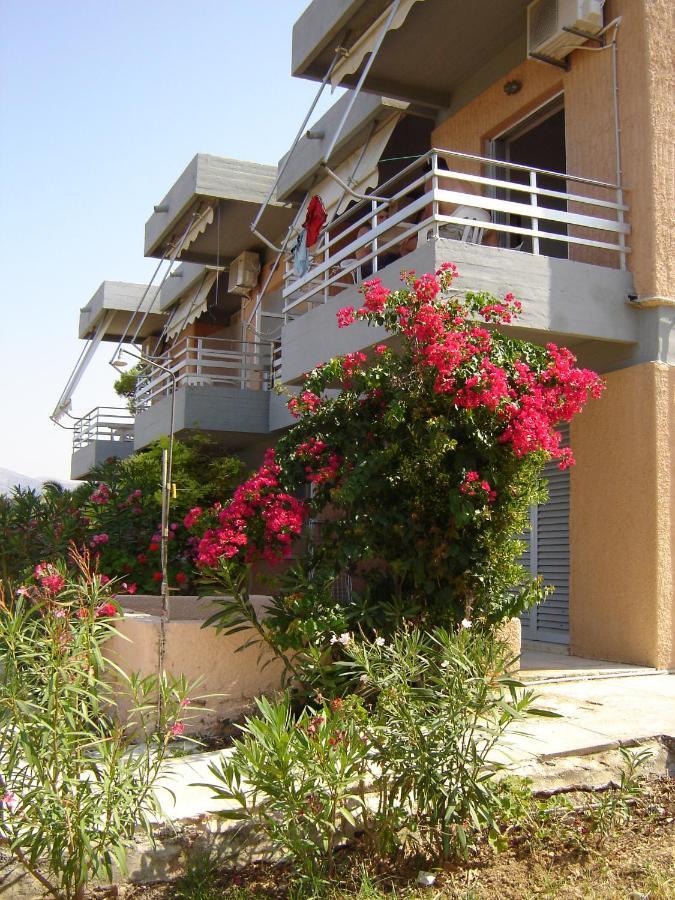 Galini Studios And Apartments 拉瑟 外观 照片